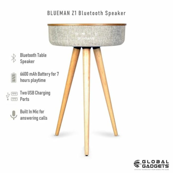 BLUEMAN Z1 Portable Bluetooth Speaker