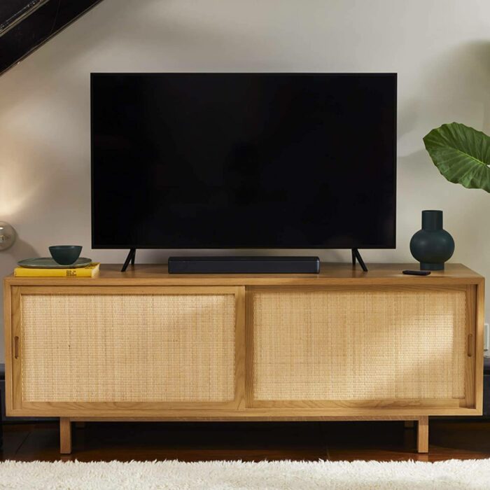 Bose TV Speaker